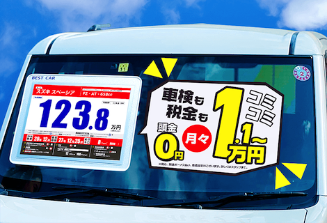 ピタポップ